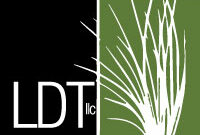 LDT LLC Logo