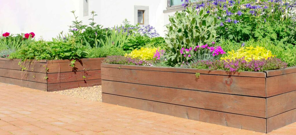 Photo of raised garden beds