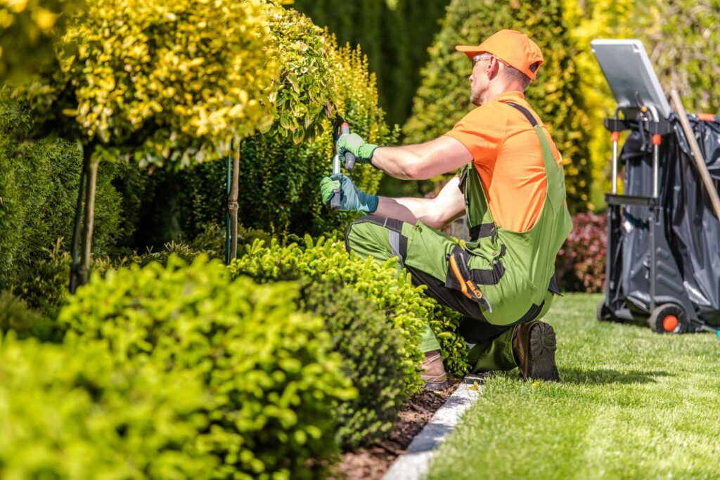 Photo of landscaping worker